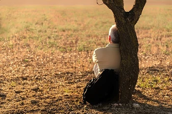 solitude choisie homme seul adossé à un tronc d'arbre (seul aussi)