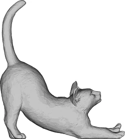 chat qui setire habitude zen sagesse du temps