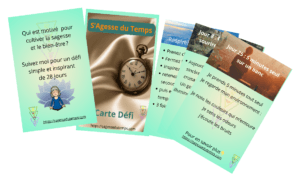 Relevez le Défi 28 jours 30 Cartes defi presentation