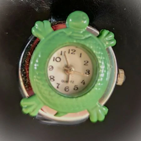 Collectionner des tortues ? Une passion entre sagesse et symbolique 8 Collection tortue: une montre tortue pour le symbole du temps qui passe