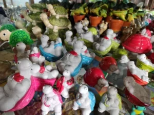 Tortue collection coloree