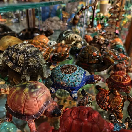 Collectionner des tortues ? Une passion entre sagesse et symbolique 6 collection tortues plusieurs miniatures bois céramique