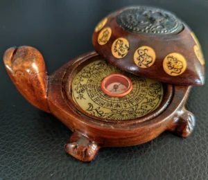 tortue boussole