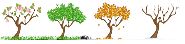 Changement de saison
