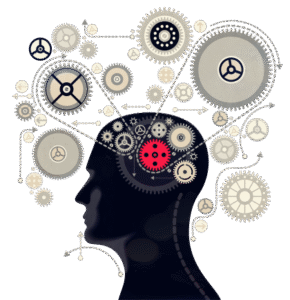 observation et inference silhoute tete mecanisme