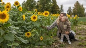 Fete des mere promenade tournesol mere fils