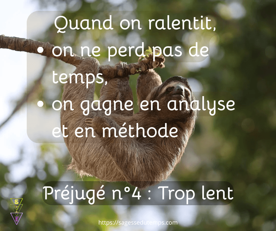 Agisme : préjugé humour : Quand on ralentit on ne perd pas de temps, on analyse